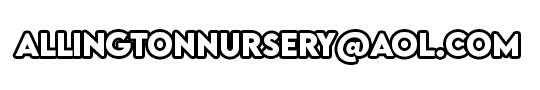 allingtonnursery@aol.com